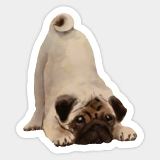 Pug Sticker